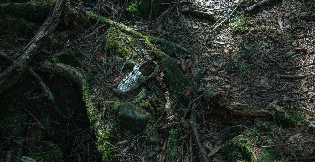 7. Aokigahara Forest, Japan (4.3/5)