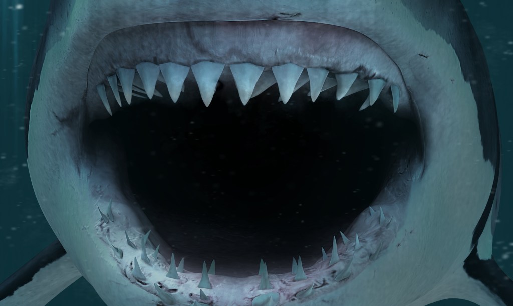 This Video Shows What It Would Be Like to Get Eaten by a Shark
