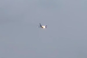 united-airlines-flight-forced-to-land-after-rabbit-gets-sucked-into-the-engine