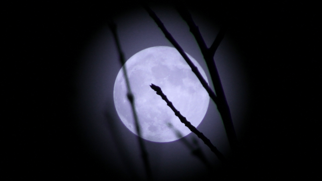 January’s Wolf Supermoon Will Offer the Perfect Start to the New Year