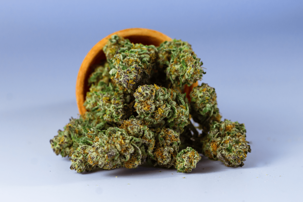 Trump Just Signed An Executive Order to Reschedule Cannabis, Expand CBD Access