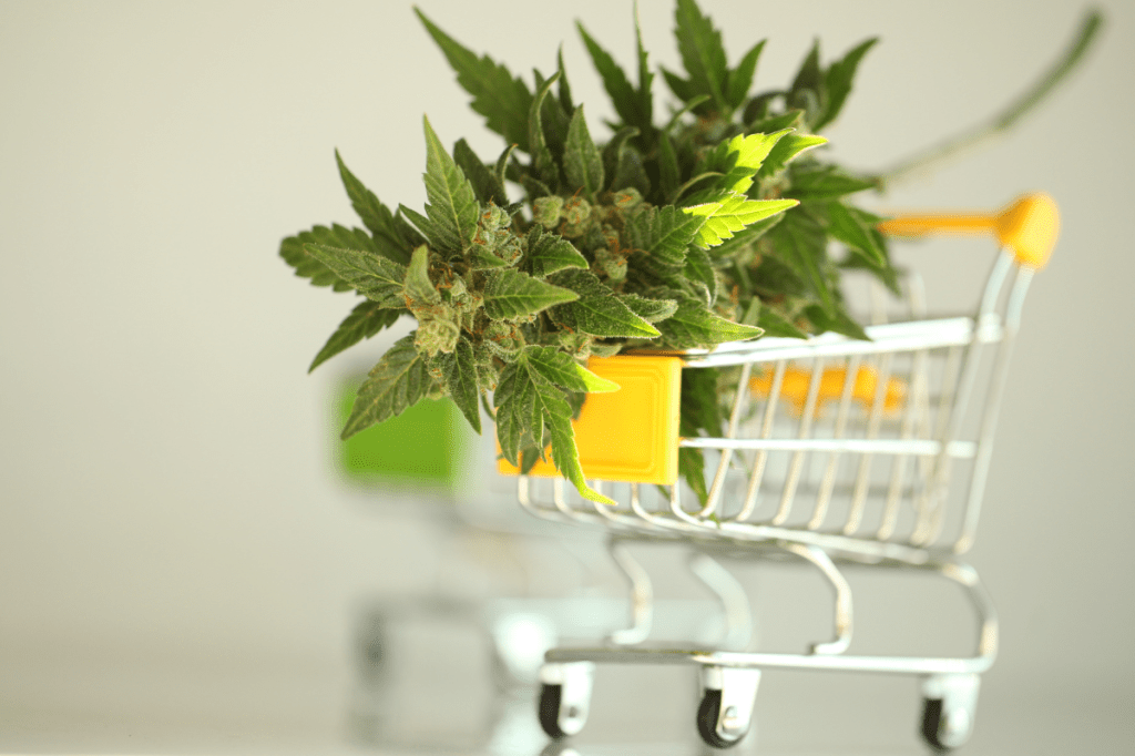 Stock Up For Christmas With Sales on THC, CBD, and More